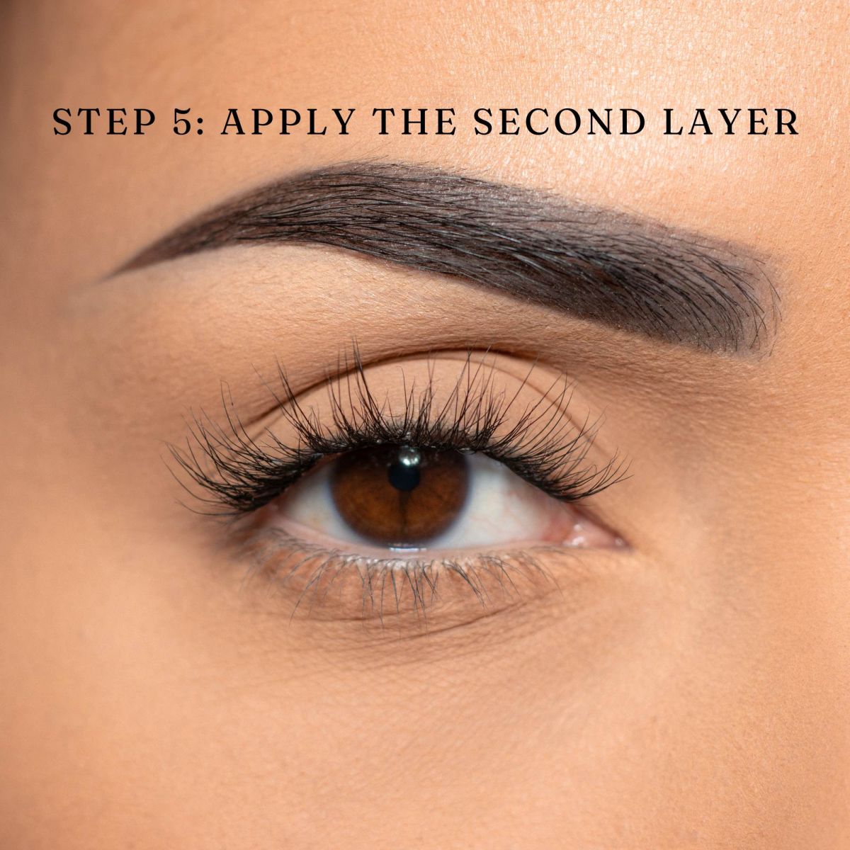 layer lashes process