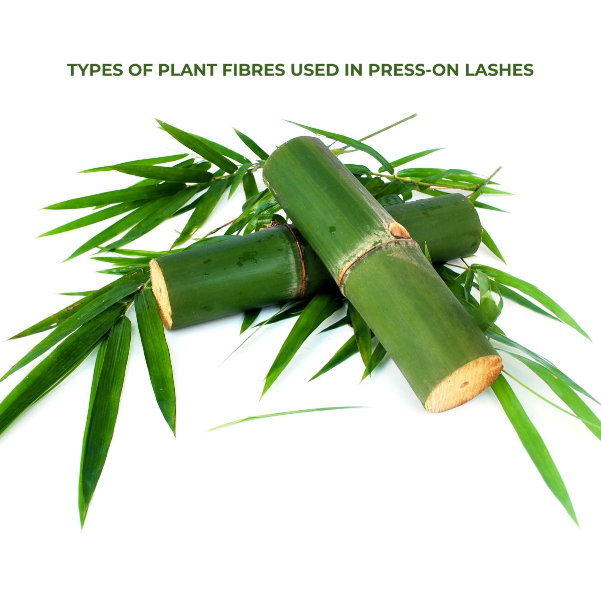 hemp-derived plant fibre lashes